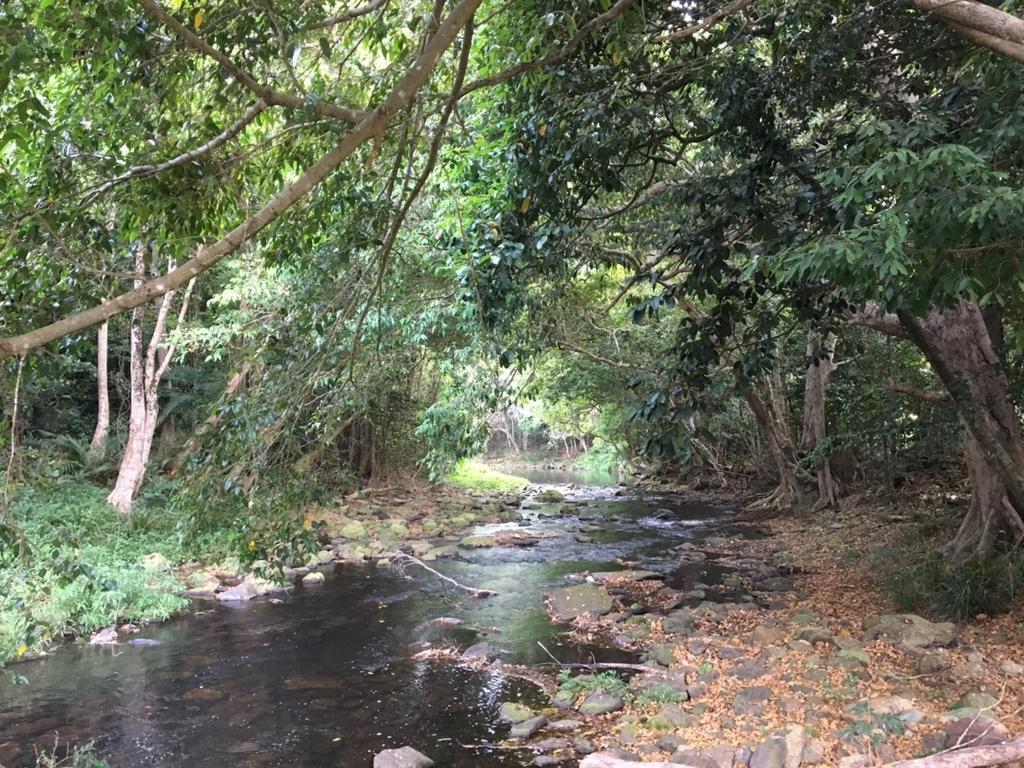 Cairns Crystal Cascades Holiday Park Luaran gambar